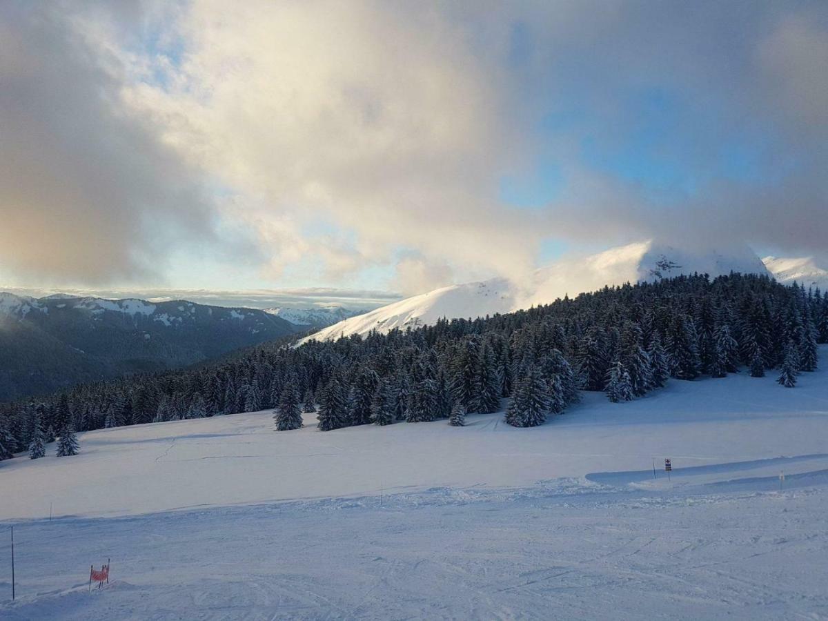 Praz-Du-Soleil F3 Daire Les Gets Dış mekan fotoğraf