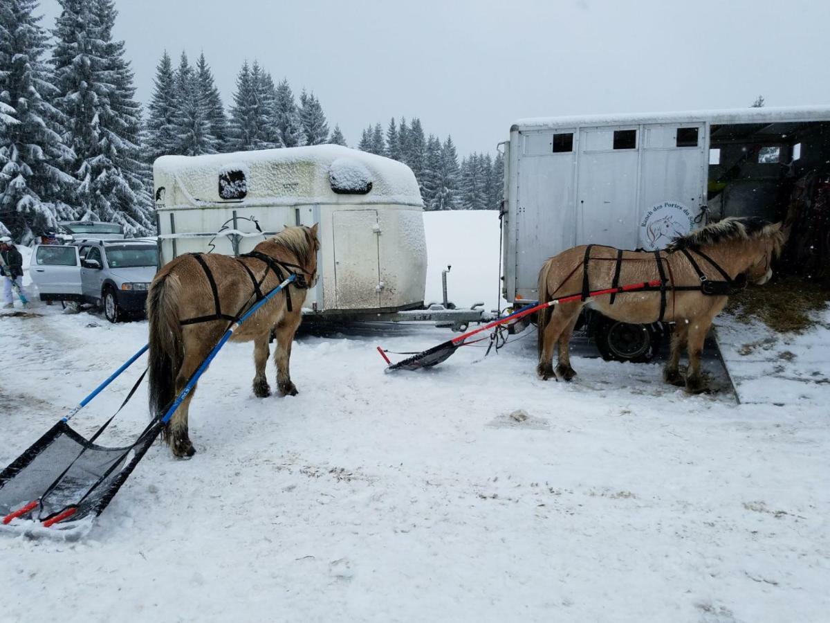 Praz-Du-Soleil F3 Daire Les Gets Dış mekan fotoğraf